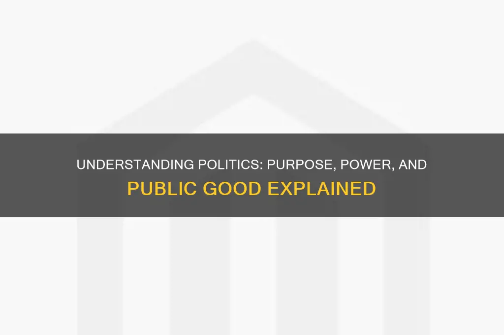 what is politics for