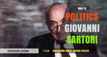 Understanding Politics Through Giovanni Sartori's Comparative Theory and Insights