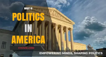 Understanding American Politics: A Comprehensive Guide to the US Political System