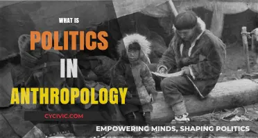 Exploring Political Systems Through an Anthropological Lens: What is Politics?