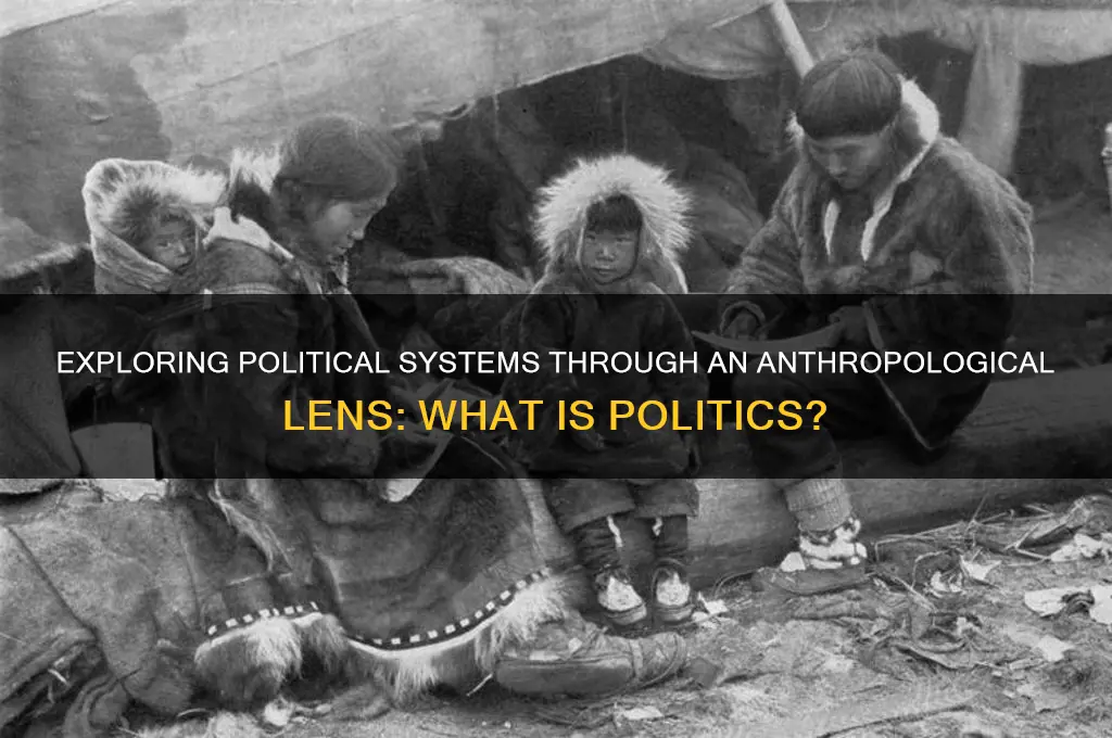 what is politics in anthropology