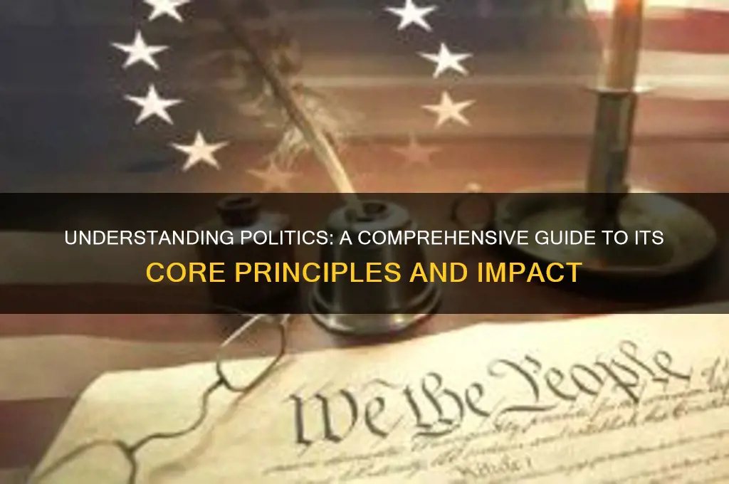 what is politics in general