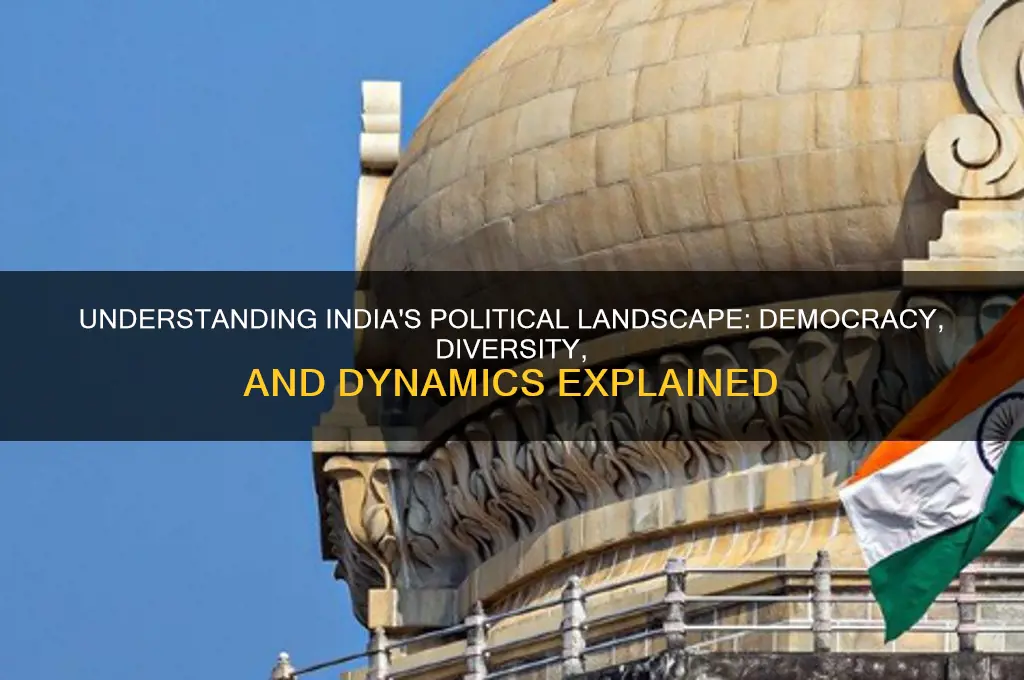 what is politics in india