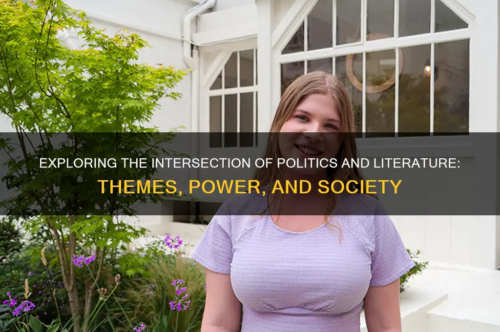 what is politics in literature