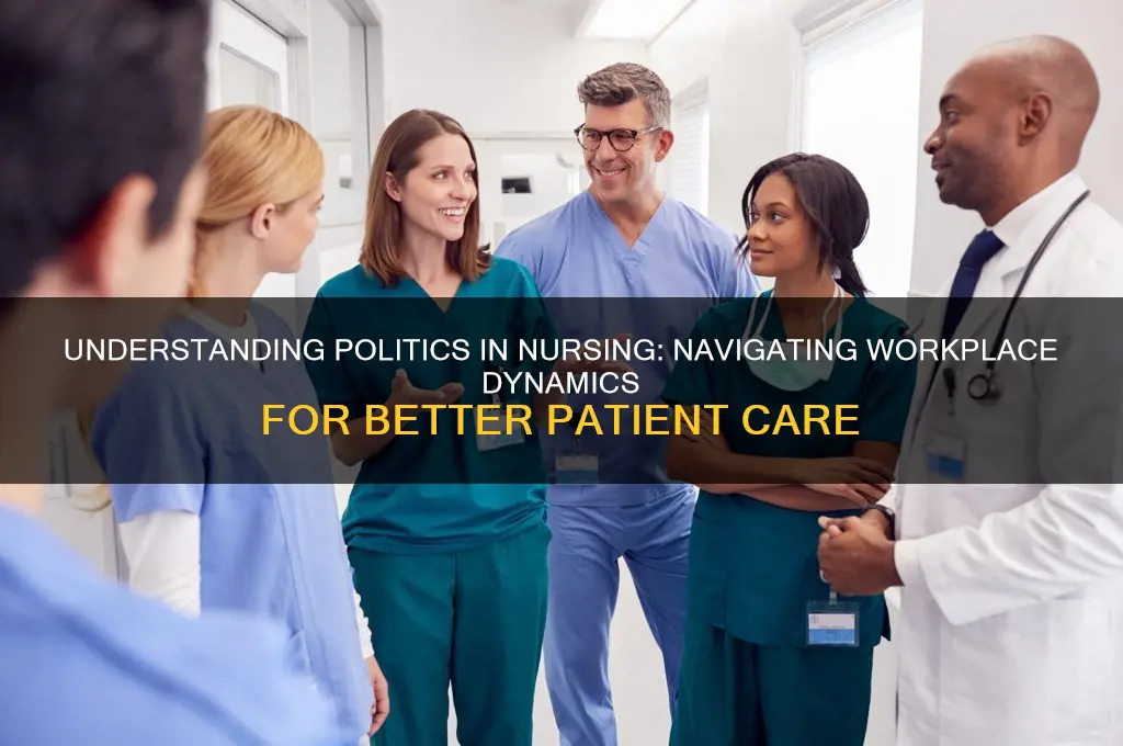 what is politics in nursing