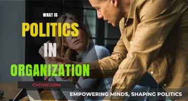 Understanding Organizational Politics: Navigating Power Dynamics in the Workplace