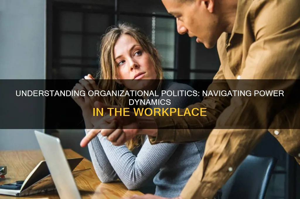 what is politics in organizations