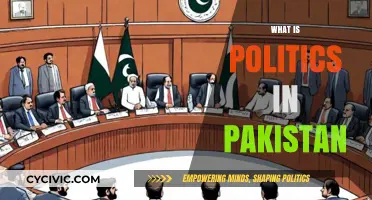 Understanding Pakistan's Political Landscape: Dynamics, Challenges, and Future Prospects