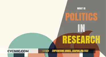 Understanding Politics in Research: Navigating Power, Influence, and Collaboration