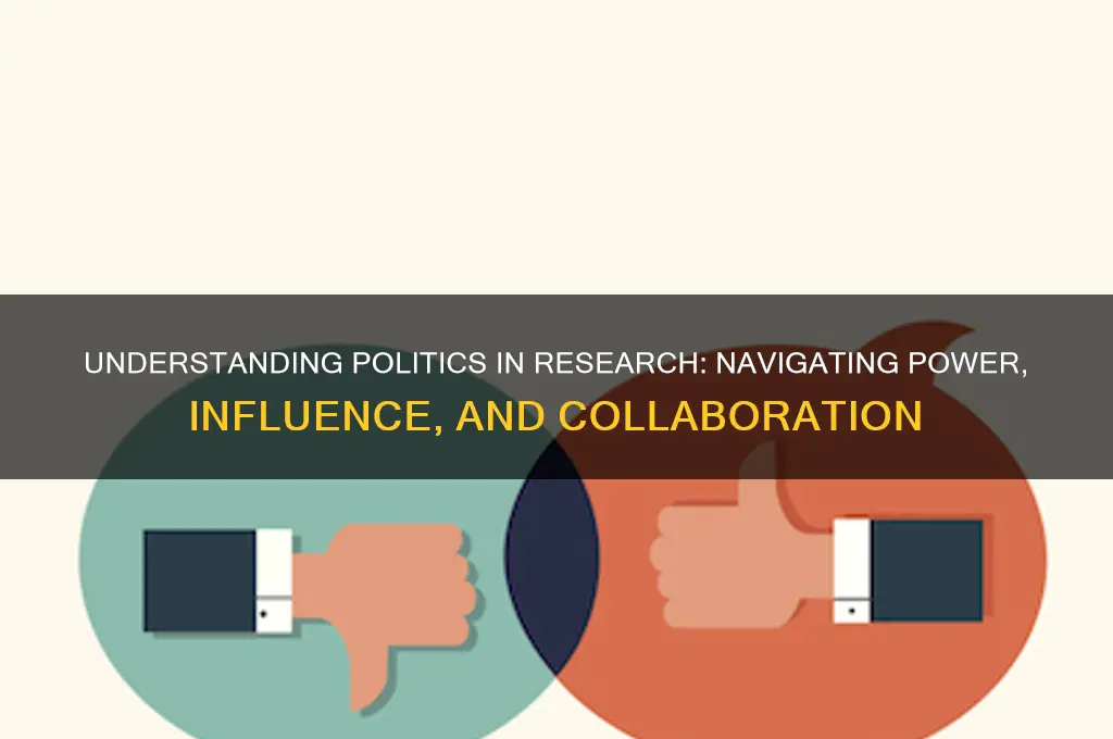 what is politics in research