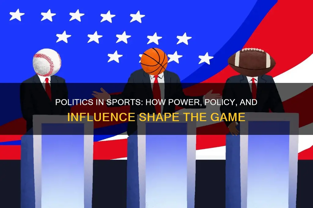 what is politics in sports