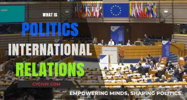 Understanding Politics and International Relations: A Comprehensive Guide