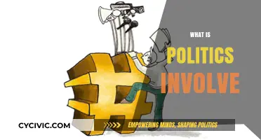 Understanding Politics: Power, Governance, and Societal Influence Explained