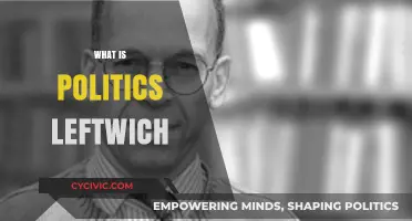 Understanding Politics Through the Lens of Leftwich's Theories