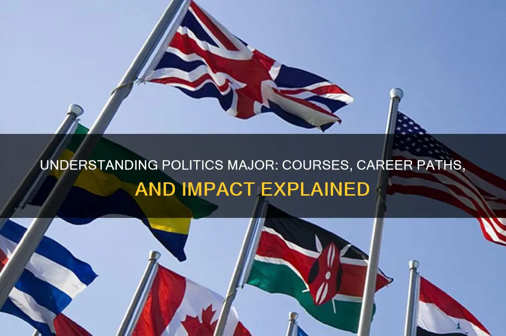 what is politics majir