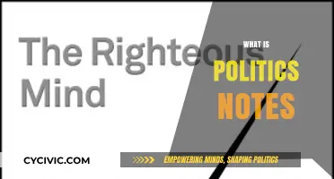 Understanding Politics: Essential Notes for Beginners and Enthusiasts