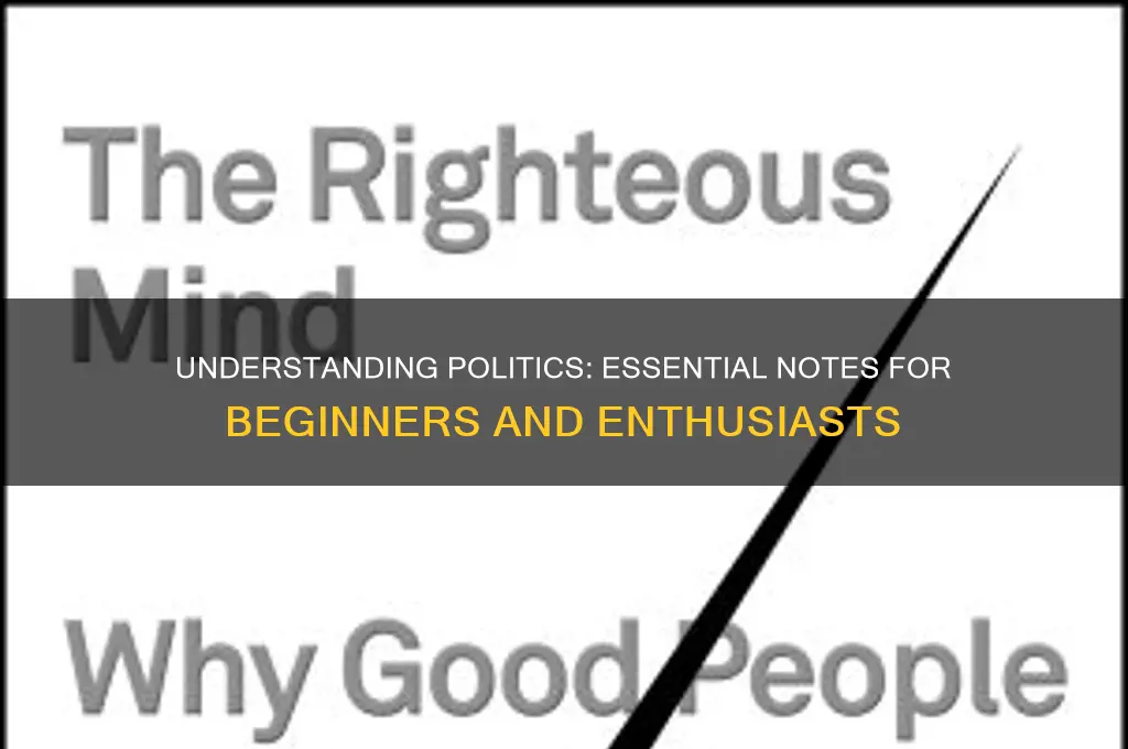 what is politics notes