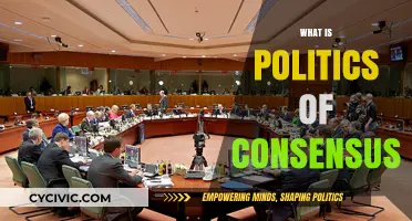 Understanding the Politics of Consensus: Principles, Practice, and Impact