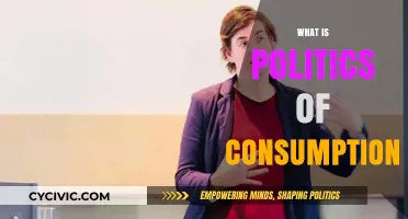 Understanding the Politics of Consumption: Power, Culture, and Everyday Choices