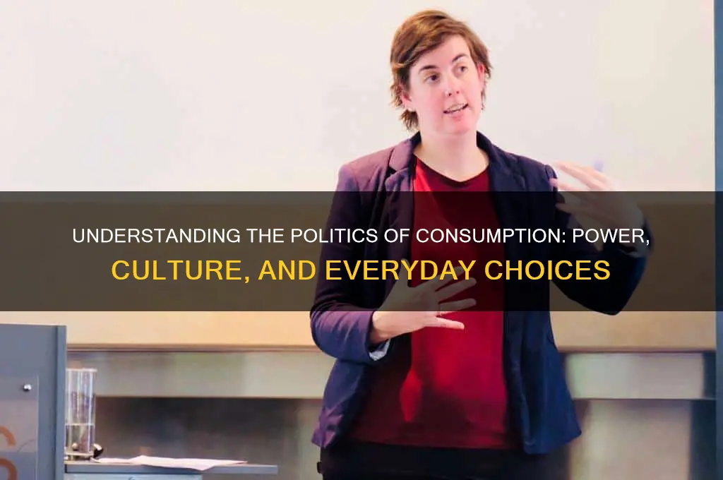 what is politics of consumption