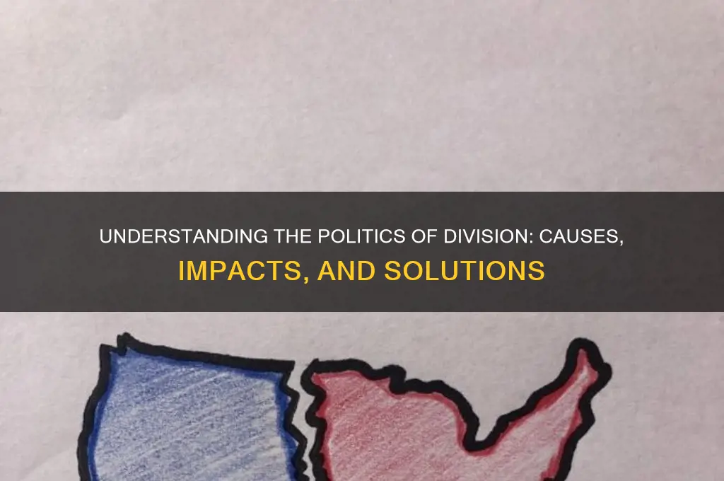 what is politics of division
