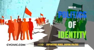 Understanding Identity Politics: Shaping Society Through Personal and Group Narratives