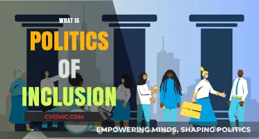 Understanding the Politics of Inclusion: Strategies for Diverse Representation