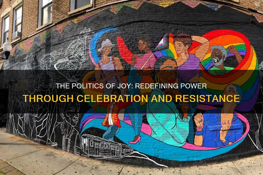 what is politics of joy