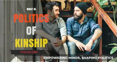 Understanding the Politics of Kinship: Family, Power, and Social Dynamics