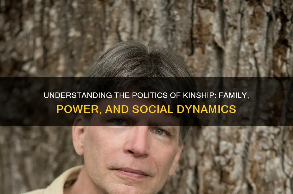 what is politics of kinship
