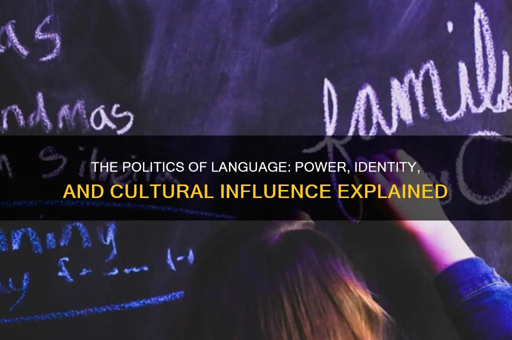 what is politics of language