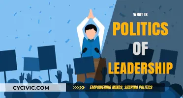 Understanding the Complex Dynamics of Leadership in Political Systems