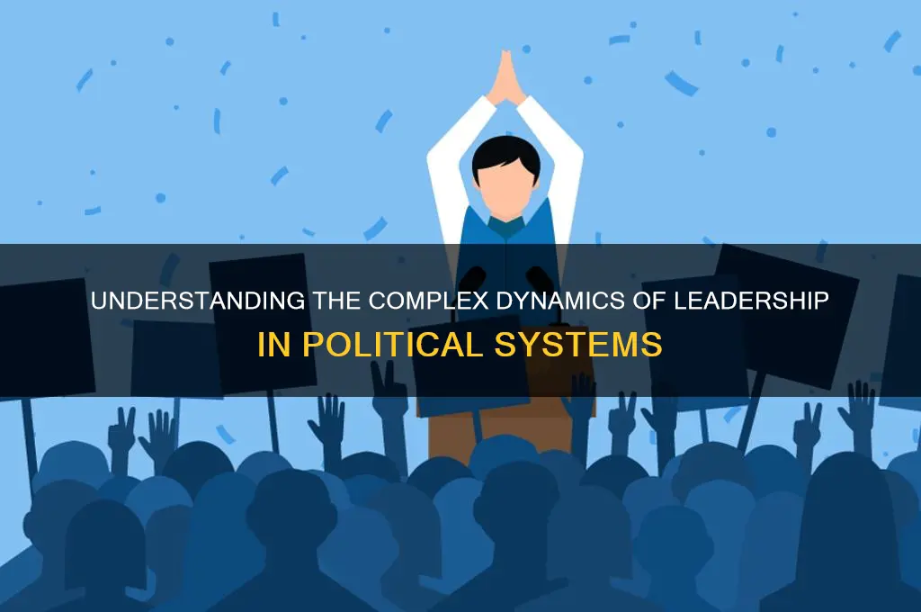 what is politics of leadership