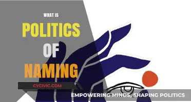 The Power of Naming: Unveiling the Politics Behind Language and Identity