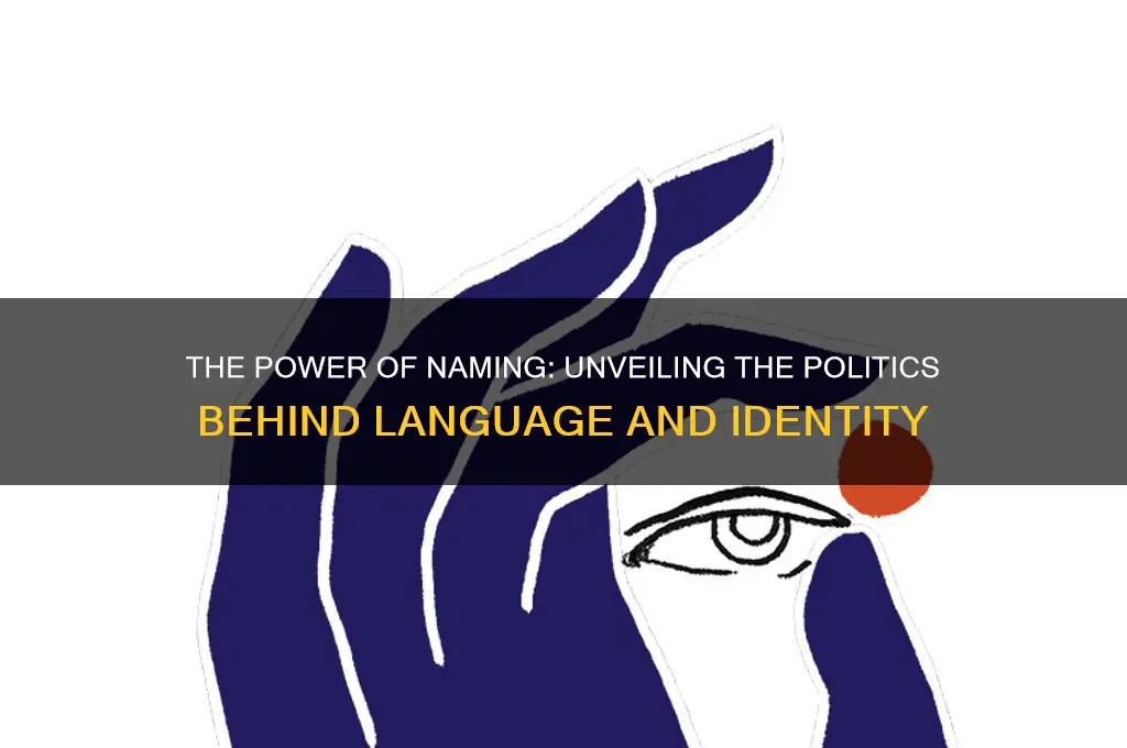 what is politics of naming