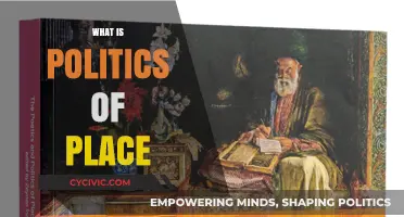 Understanding the Politics of Place: Identity, Power, and Spatial Dynamics