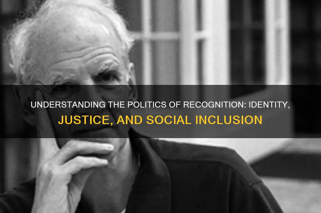 what is politics of recognition