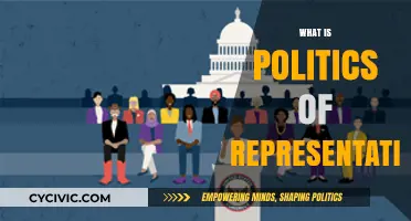 Understanding the Politics of Representation: Power, Identity, and Media Influence