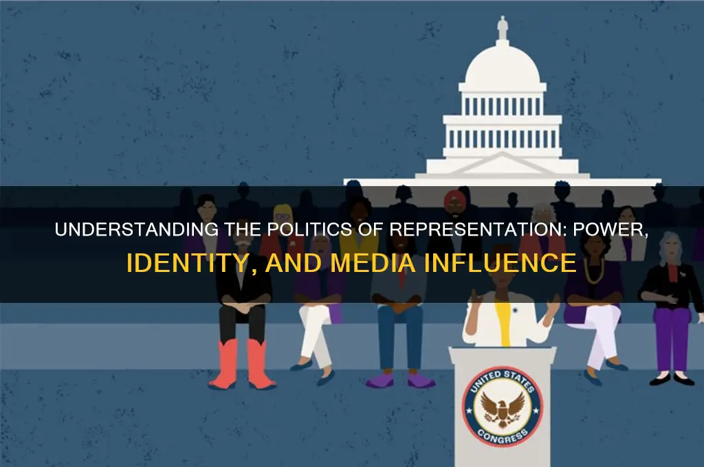 what is politics of representation