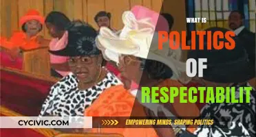 Understanding the Politics of Respectability: Origins, Impact, and Modern Relevance