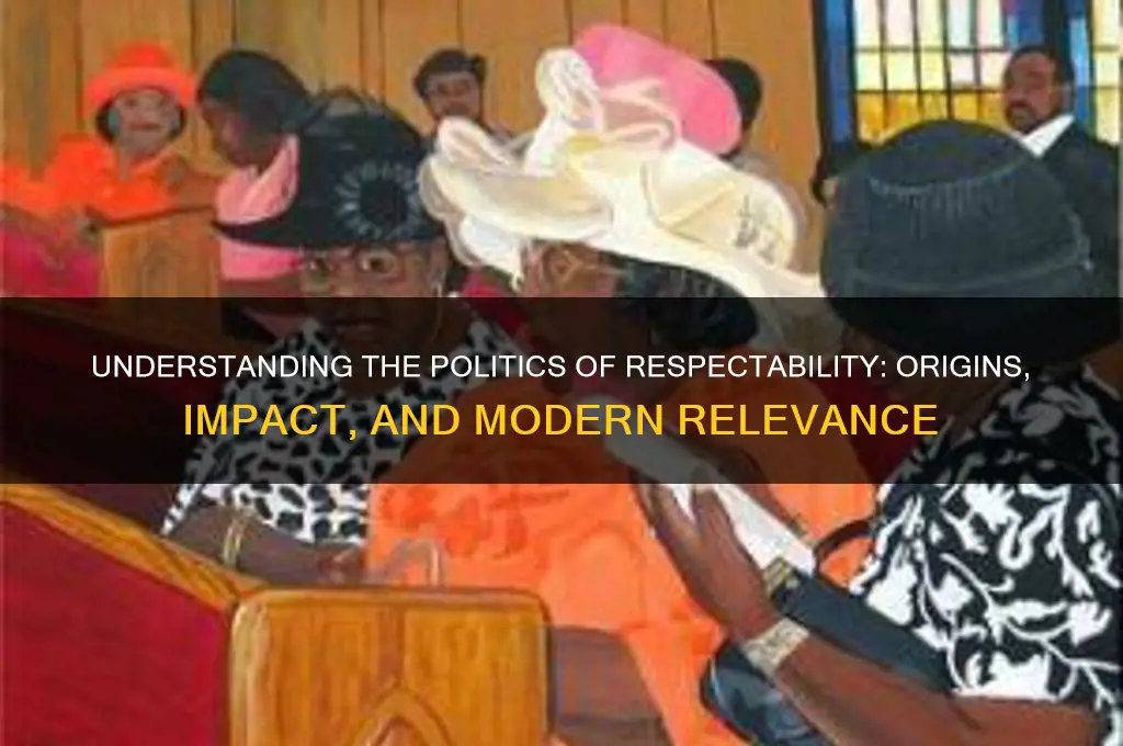 what is politics of respectability