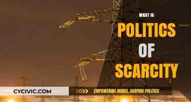 Understanding the Politics of Scarcity: Power, Resources, and Control Dynamics