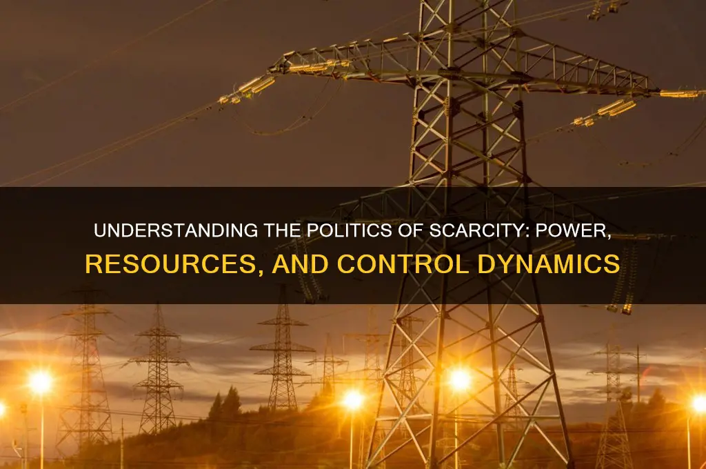 what is politics of scarcity