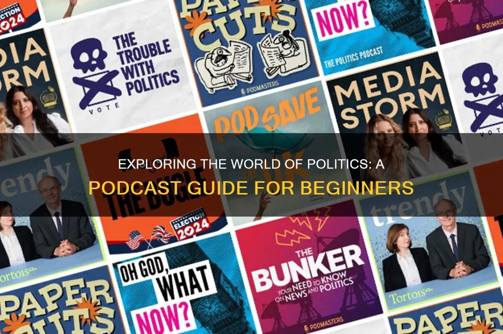 what is politics podcast