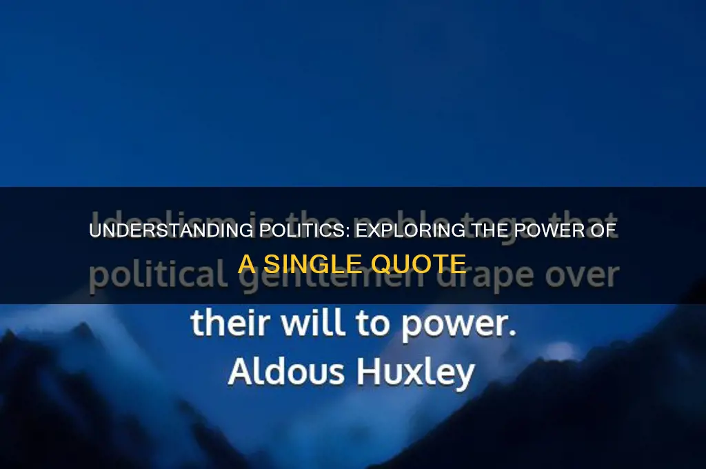 what is politics quote