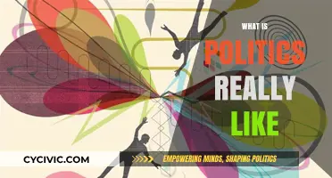 Unveiling the Complex Realities: What Politics is Really Like