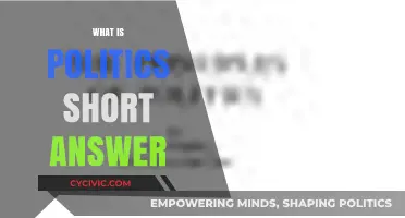 Understanding Politics: A Concise Definition and Its Core Principles Explained