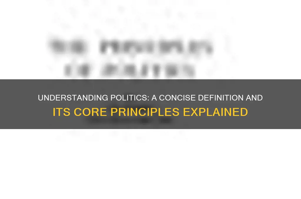 what is politics short answer