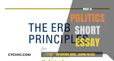 Understanding Politics: A Concise Essay on Its Core Principles and Impact