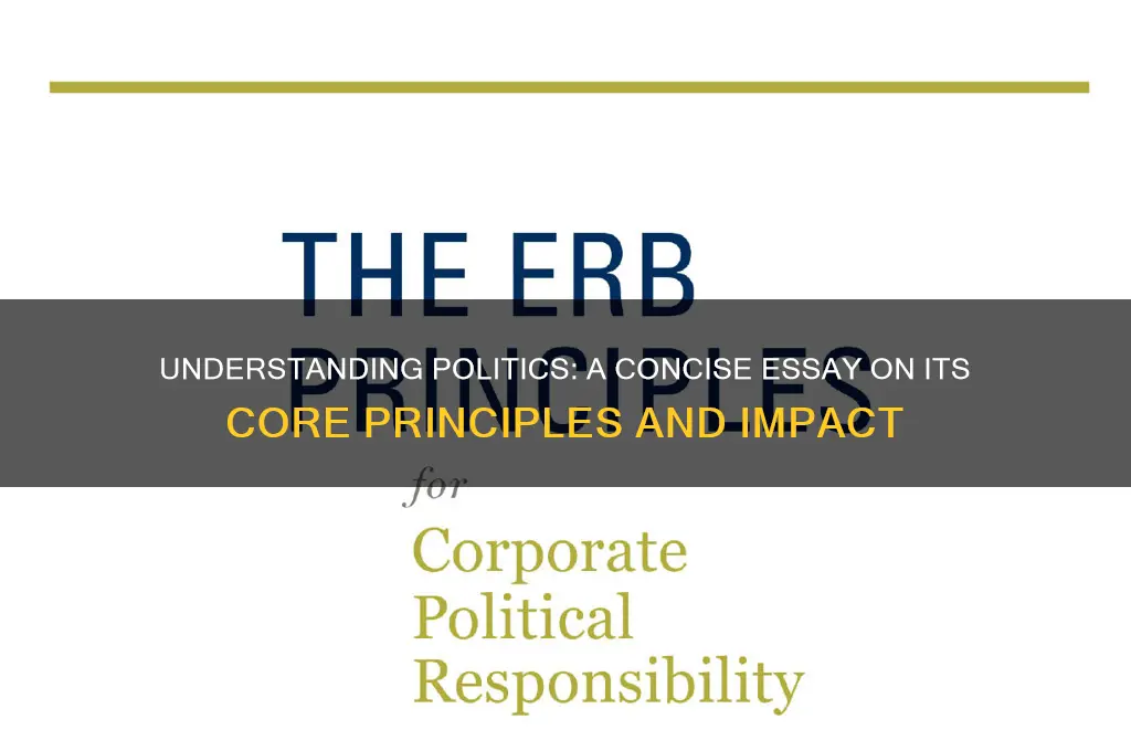 what is politics short essay